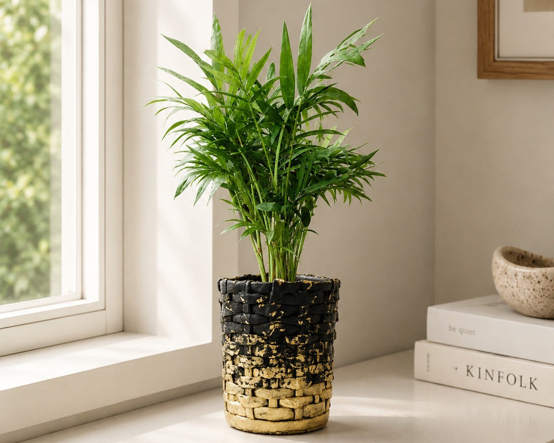 Criss Cross Planter - Set of 3 (4", 6", 8")