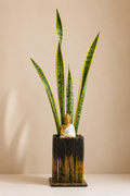 Zen Cuboid Paper Planter (9")