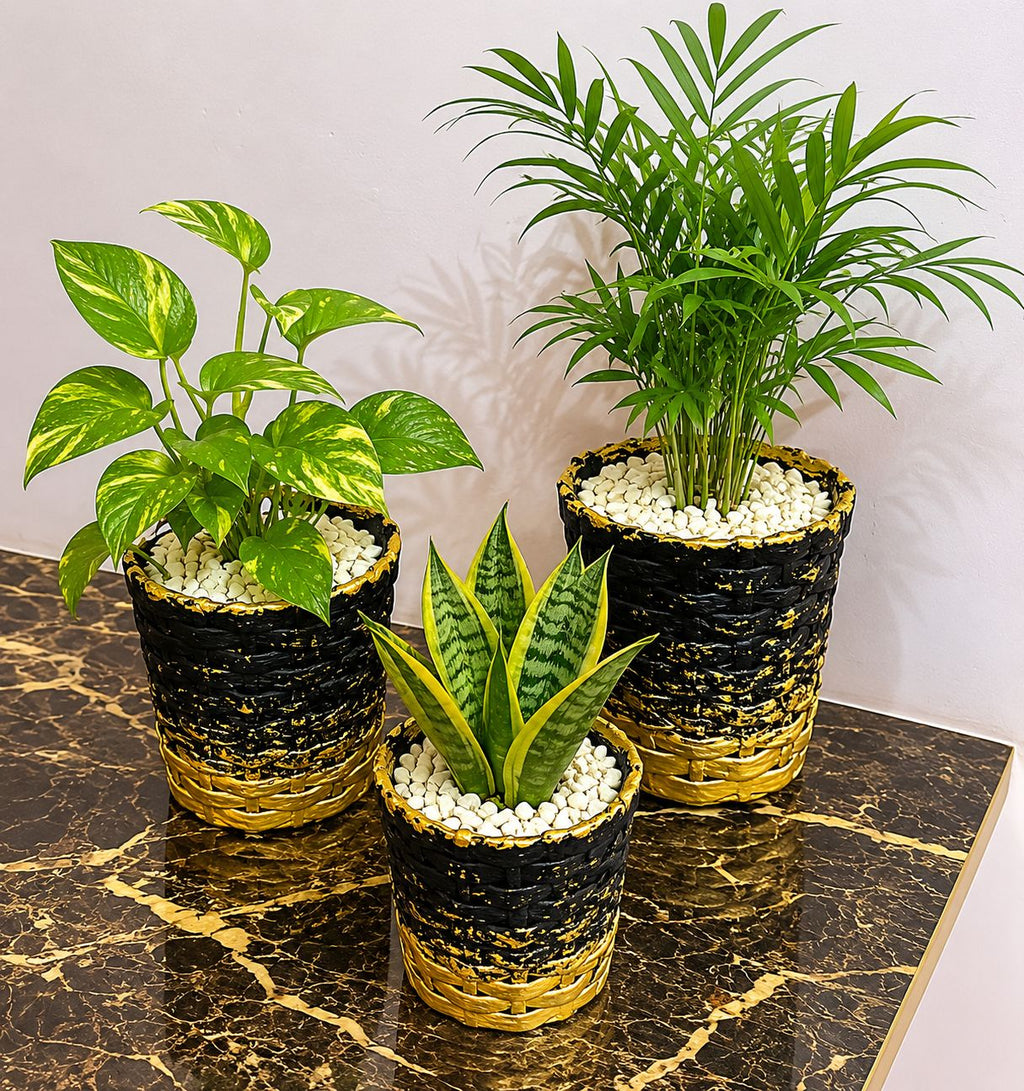 Criss Cross Planter - Set of 3 (4", 6", 8")